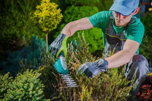 landscaping services Nixa